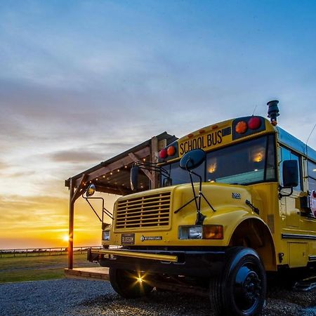 American School Bus - 1 Bedroom - Blossom Farm - Tiers Cross Johnston Exterior foto