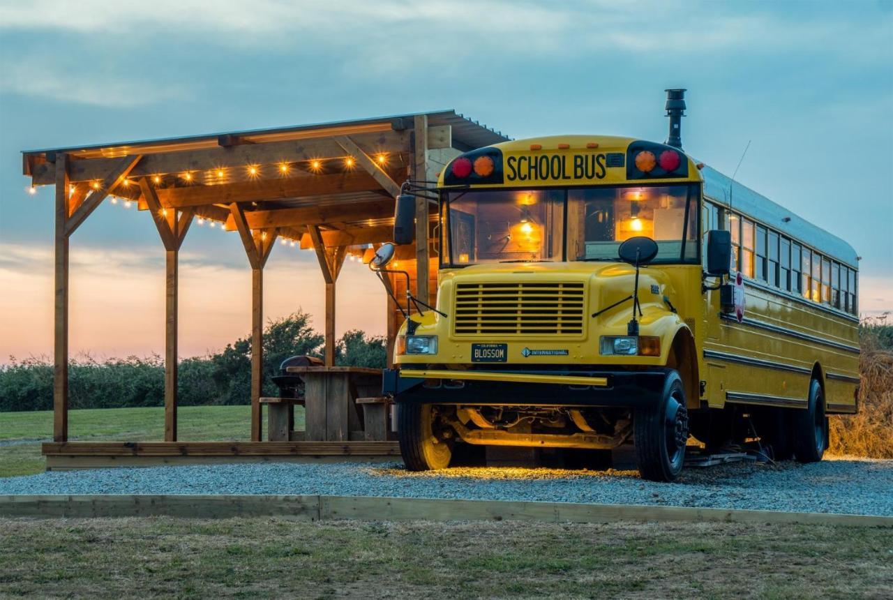 American School Bus - 1 Bedroom - Blossom Farm - Tiers Cross Johnston Exterior foto